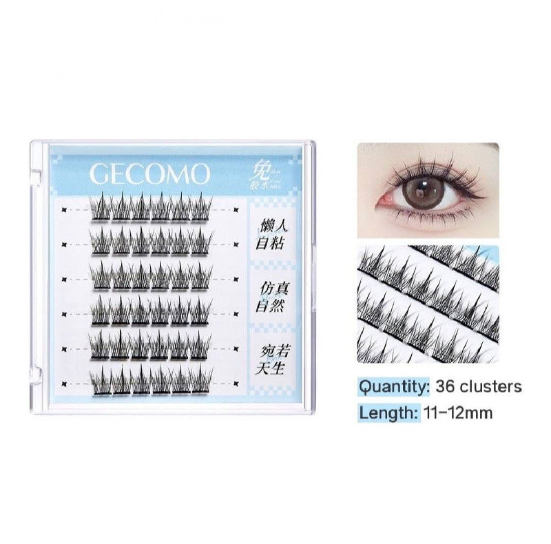Glueless Eyelashes Box